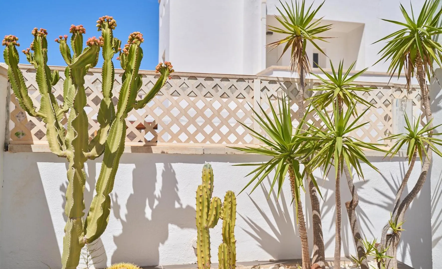Villa De Luxe San Jose